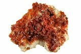 Clearance Lot: - Vanadinite on Bladed Barite - Pieces #288574-2